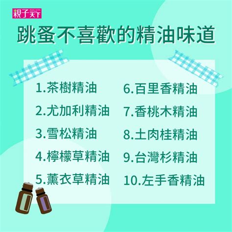 香茅油 跳蚤|跳蚤怕什麼？跳蚤怕肥皂水、香茅精油嗎？跳蚤防治懶人包